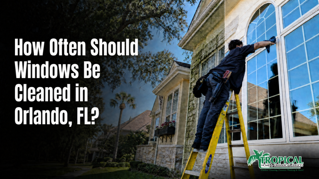 How Often Should Windows Be Cleaned in Orlando, FL