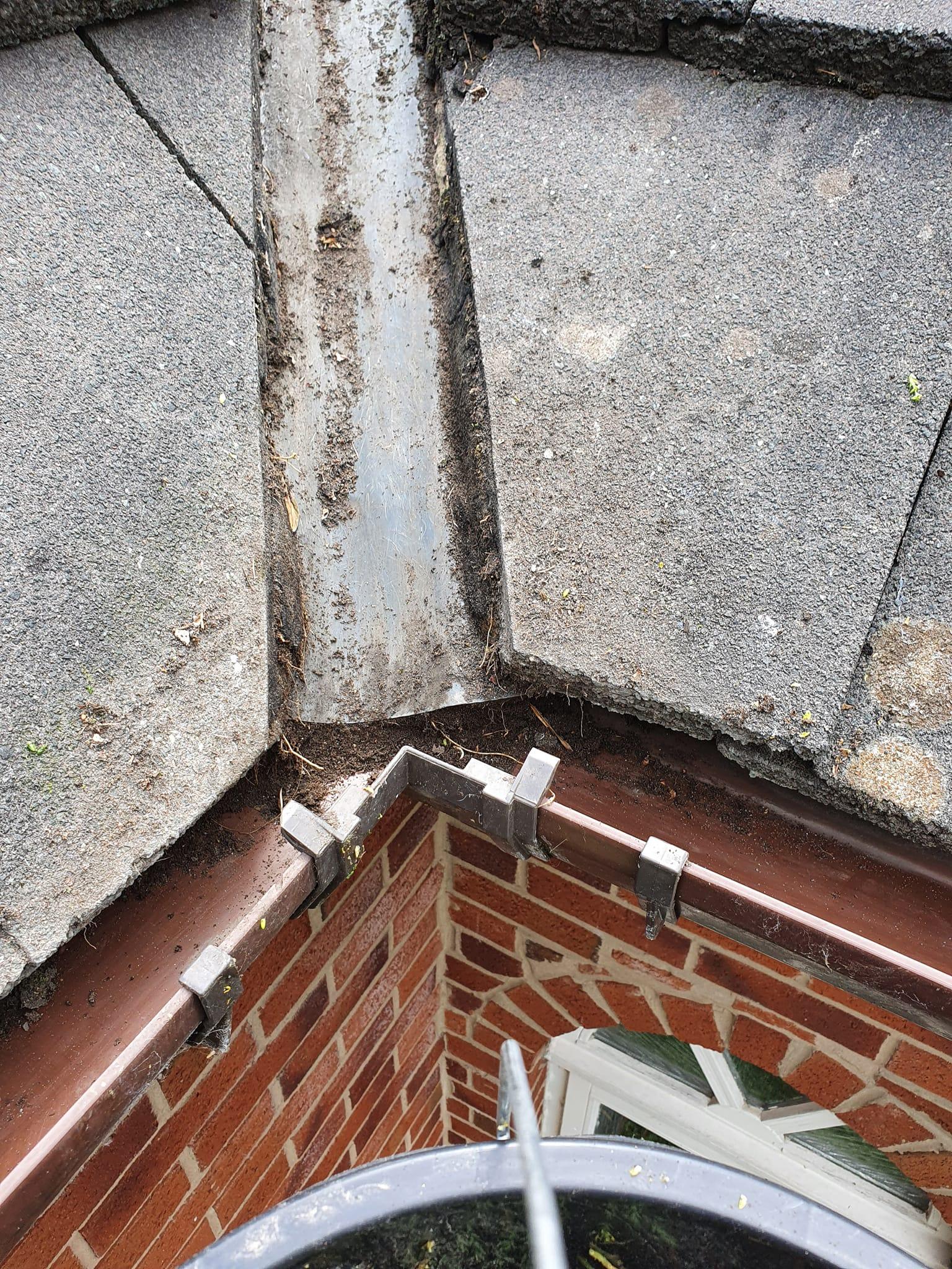 Gutter Cleaning Professionals
