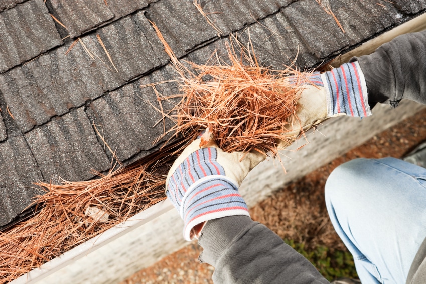 Gutter Debris Removal and Cleaning